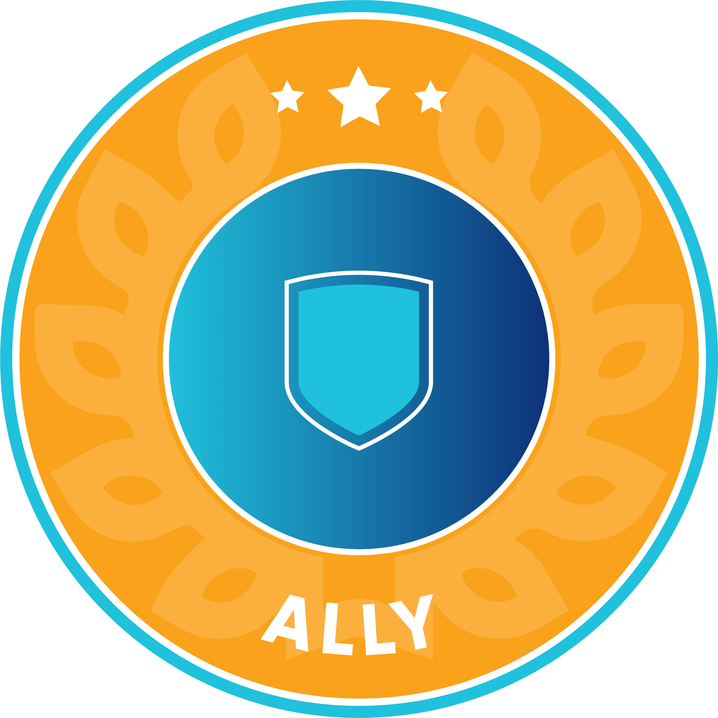 3.MATER BADGES Ally